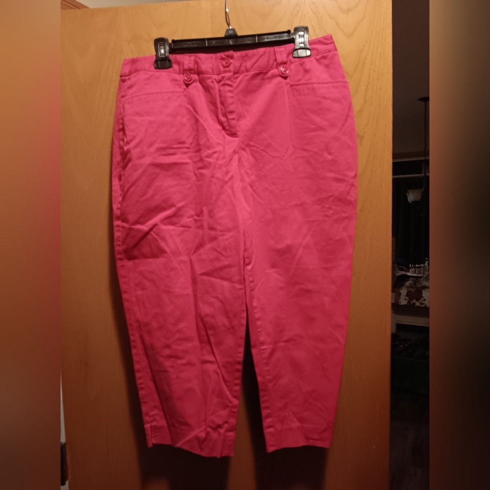 Womens Size 14P, Counterparts Fuchsia and White Pants